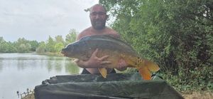 Mirror Carp