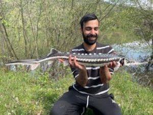 Sturgeon