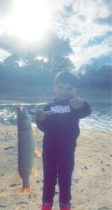 Northern Pike