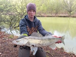 Zander