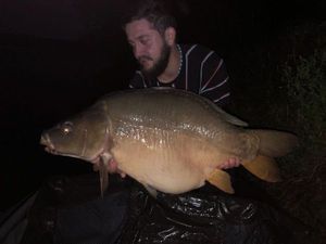 Mirror Carp