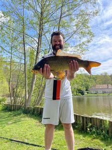 Common Carp