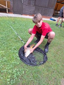 Common Carp