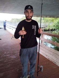 Roach