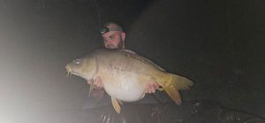 Mirror Carp