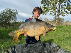 Mirror Carp