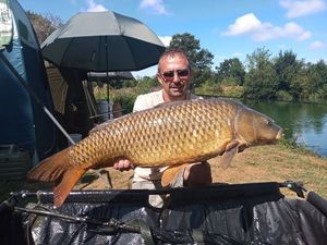 Common Carp