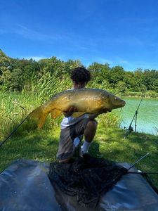 Mirror Carp