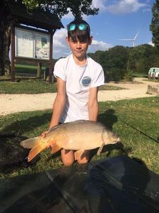Mirror Carp