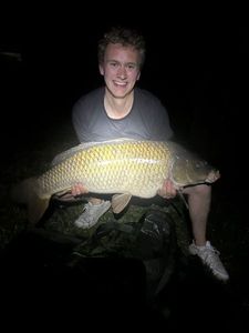 Common Carp