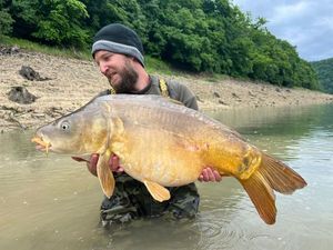 Mirror Carp