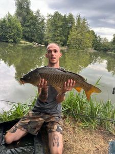 Common Carp