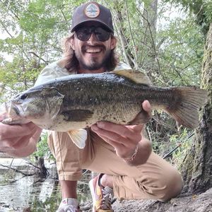 Smallmouth Bass