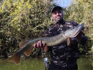 Northern Pike