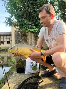 Mirror Carp