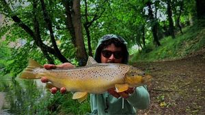 Brown Trout