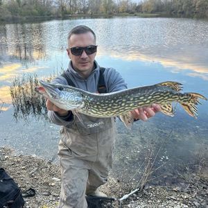 Northern Pike