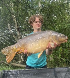 Mirror Carp