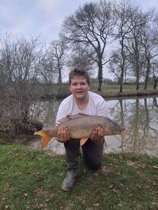 Common Carp