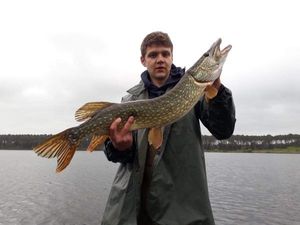 Northern Pike