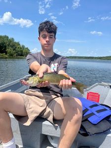 Zander