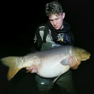 Mirror Carp