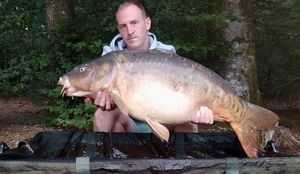 Mirror Carp