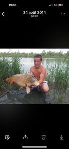 Mirror Carp