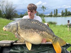 Mirror Carp