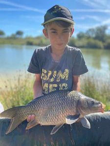 Common Carp