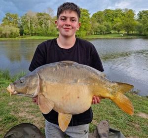 Mirror Carp