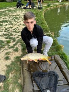 Common Carp