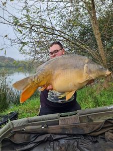 Mirror Carp