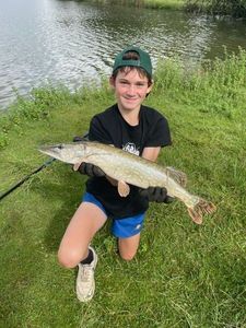 Northern Pike