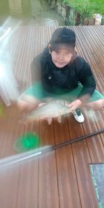 Common Carp