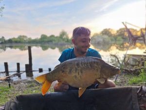 Mirror Carp