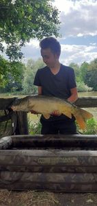 Mirror Carp
