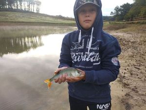 European Perch