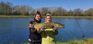 Northern Pike