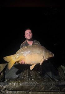 Mirror Carp