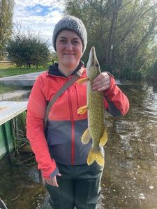 Northern Pike