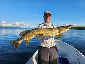 Northern Pike