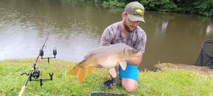 Mirror Carp