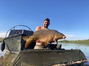 Mirror Carp
