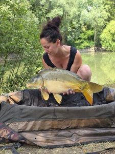 Mirror Carp