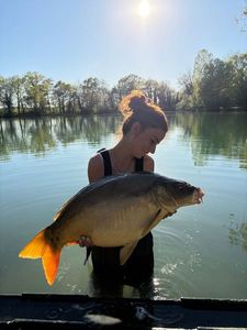Mirror Carp