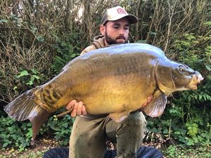 Mirror Carp