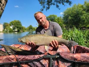 Grass Carp