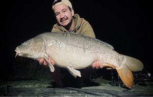 Mirror Carp