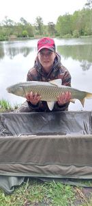 Grass Carp